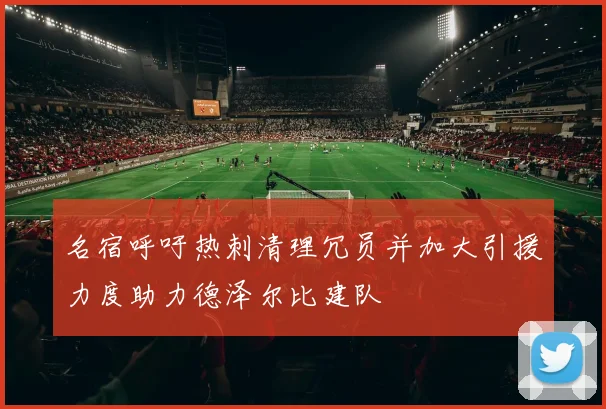 名宿呼吁热刺清理冗员并加大引援力度助力德泽尔比建队