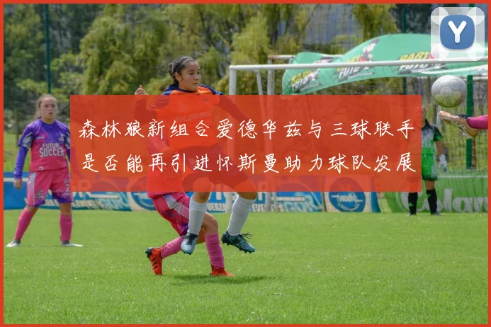 森林狼新组合爱德华兹与三球联手是否能再引进怀斯曼助力球队发展