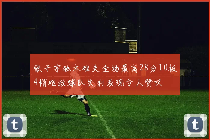 张子宇独木难支全场最高28分10板4帽难救球队失利表现令人赞叹